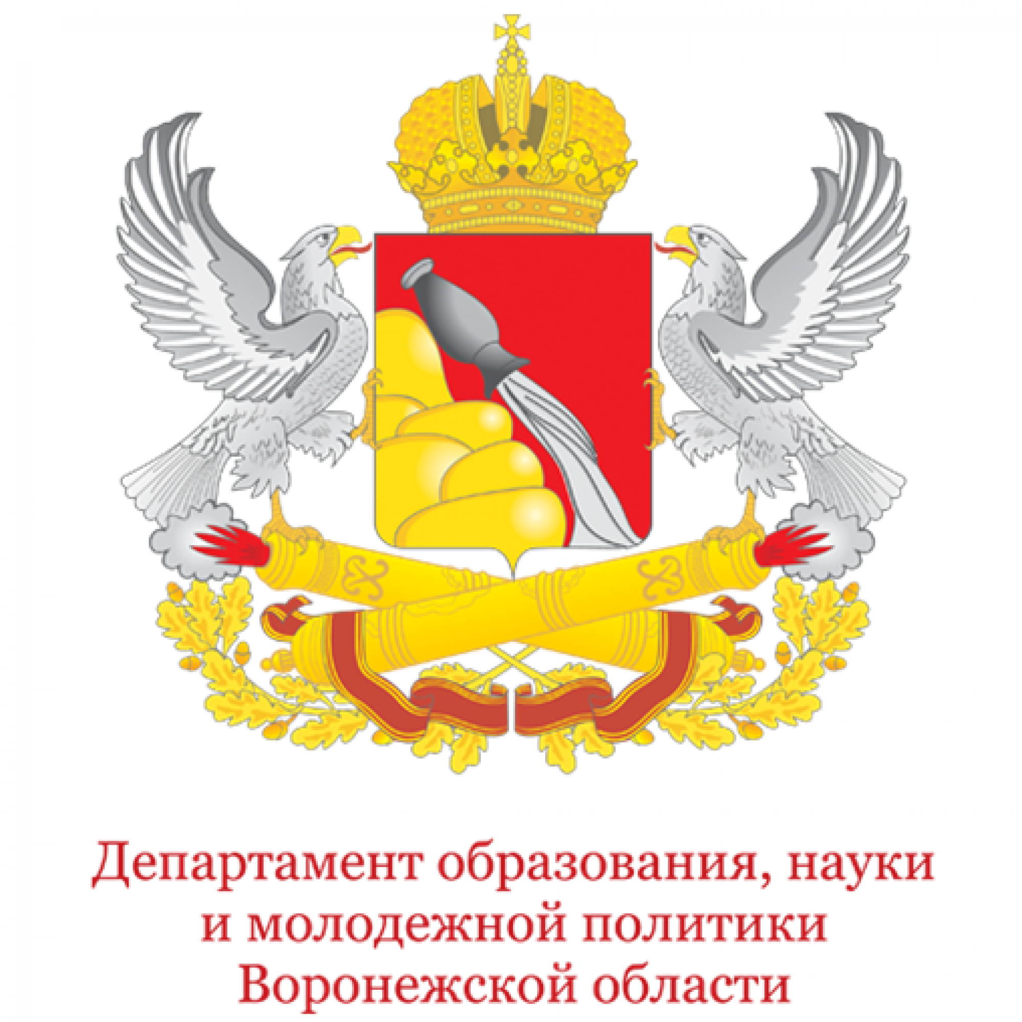 департамент молодежной политики министерства образования