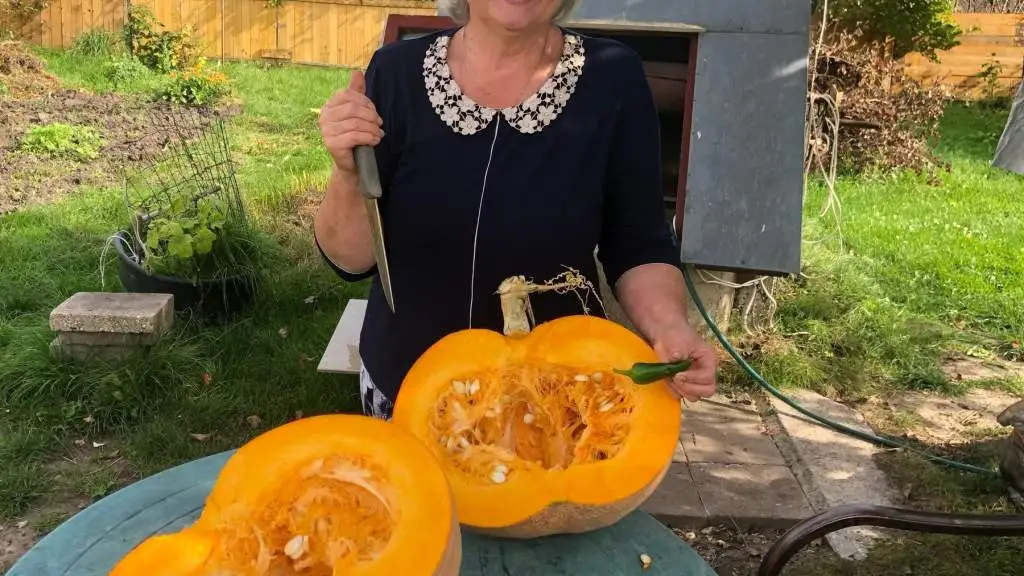 Кретинга - в тыквах