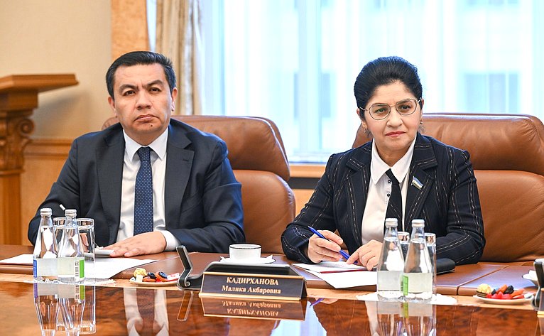 Встреча сенаторов с Раисом Республики Татарстан Рустамом Миннихановым