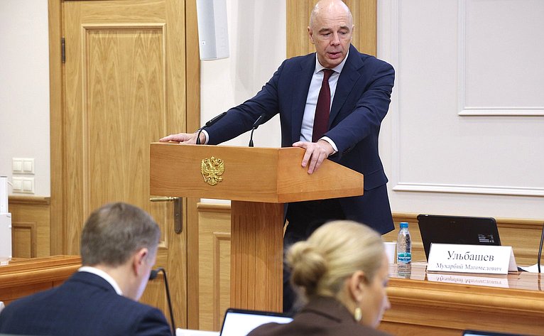 Заседание Комитета Совета Федерации по бюджету и финансовым рынкам