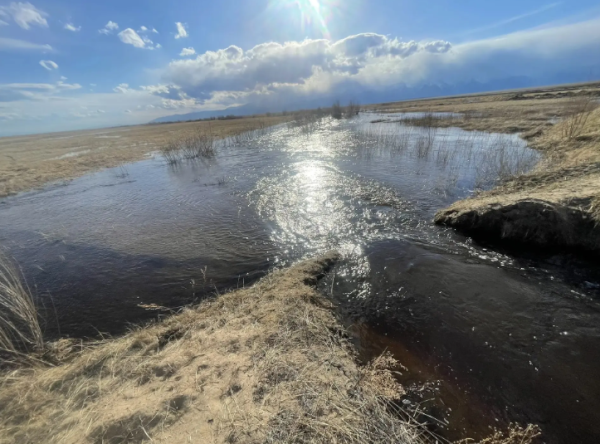 Несколько сёл в Бурятии перешли на повышенную готовность