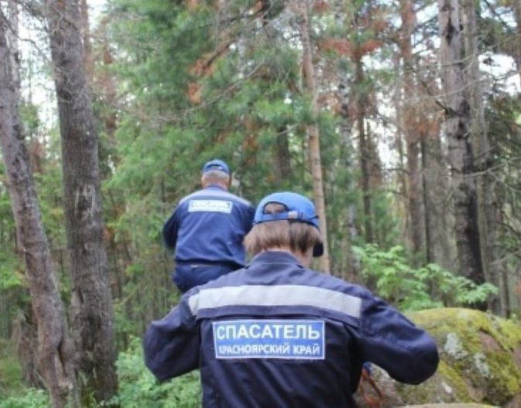 Сторожа в лес. Спасатели в лесу. Подросток заблудился в лесу. Полиция в лесу.