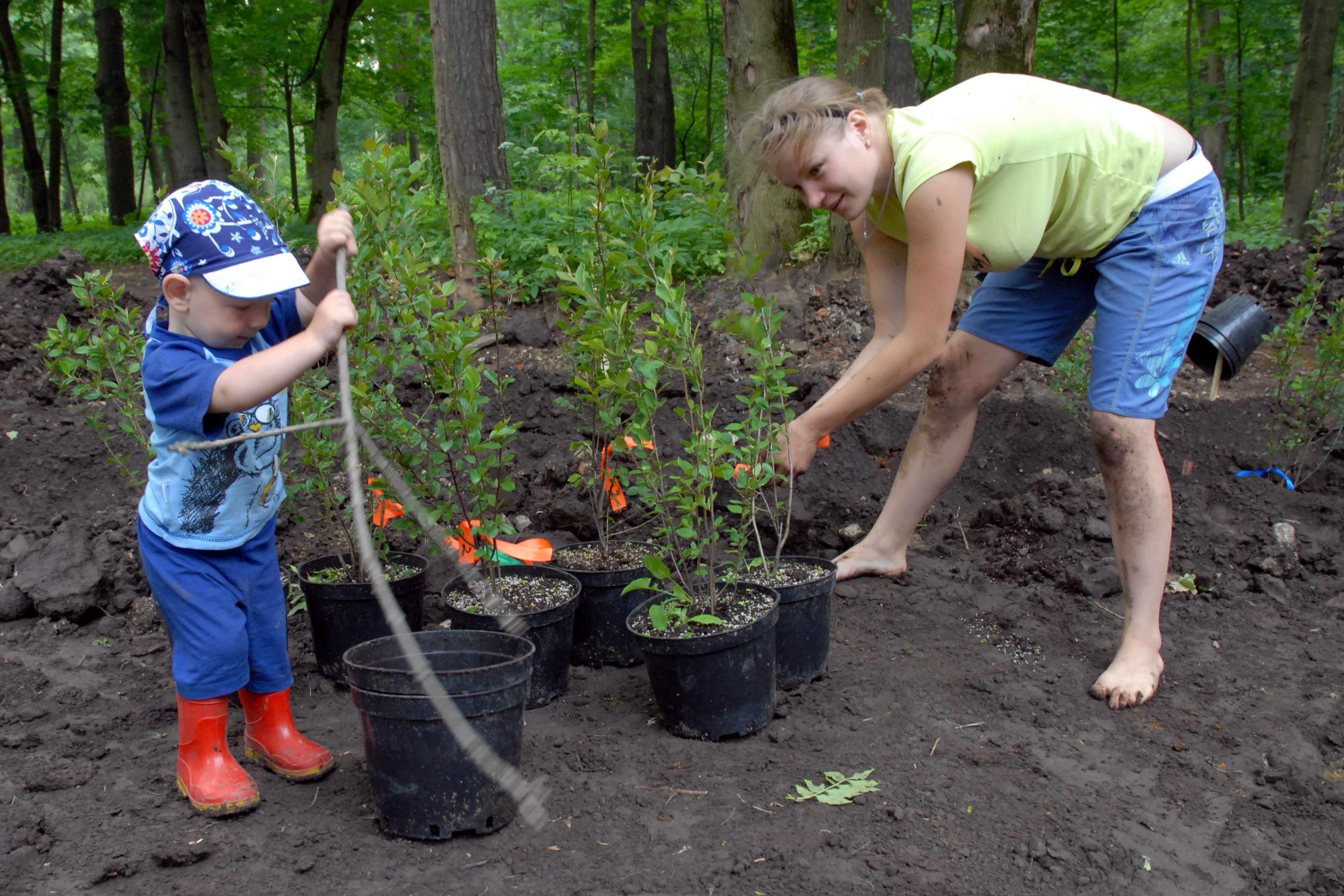 зачем садовод осенью при первых ночных огэ. подкормки овощей график. зачем садовод осенью при первых ночных огэ. ночные заморозки это конвекция. памятка по посадке плодовых деревьев.