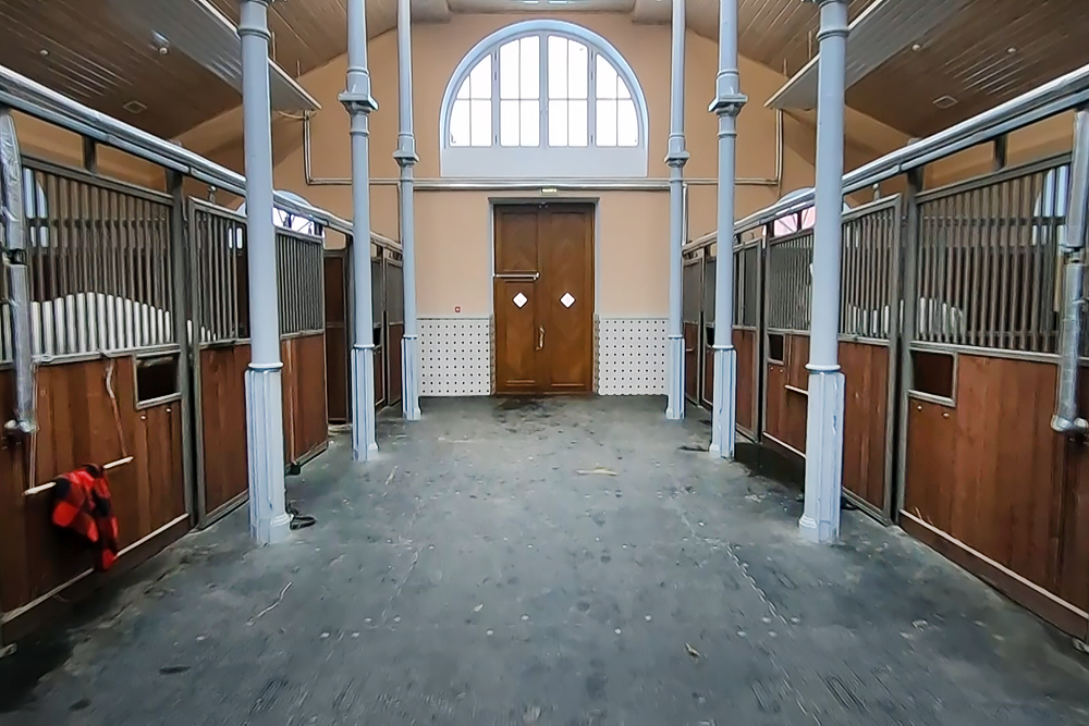 Пенсионерские конюшни в царском селе. Лошадь конюшня привязь. Доха королевская конюшня. Центральный московский ипподром крытый манеж. Конюшня здание.