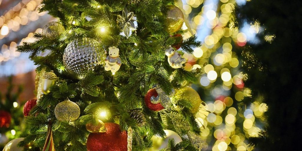 Единый центр поддержки подготовил предновогоднюю программу для участников СВО