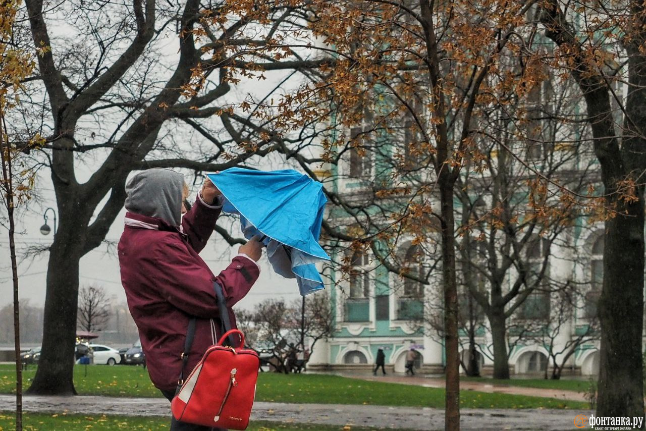 климат санкт петербурга