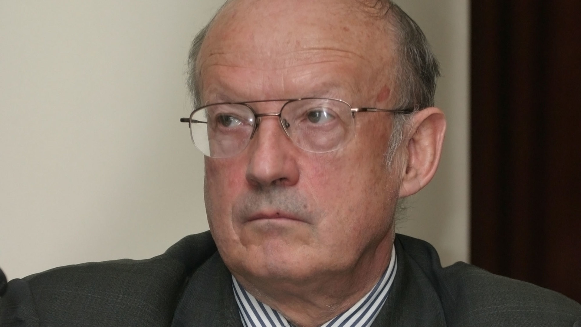 Пионтковский муляжи
