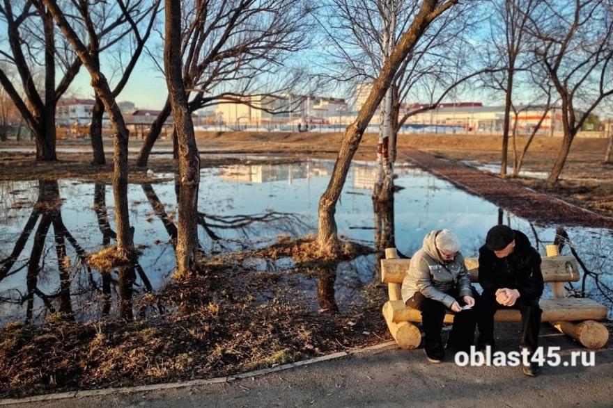 Половодье-2026 в Курганской области: какие реки первыми начинают выход из берегов