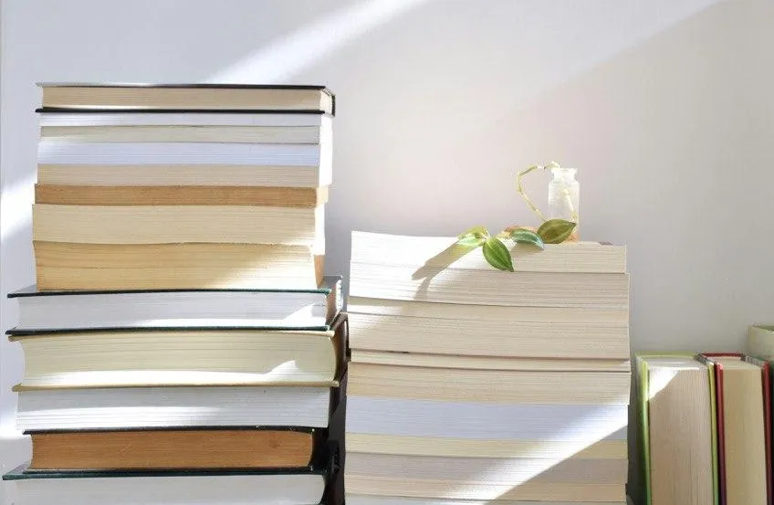 «Строим мостики между авторами и читателями»: как живет «Большая читка» в Петербурге | ФОТО Asal Lotfi on Unsplash