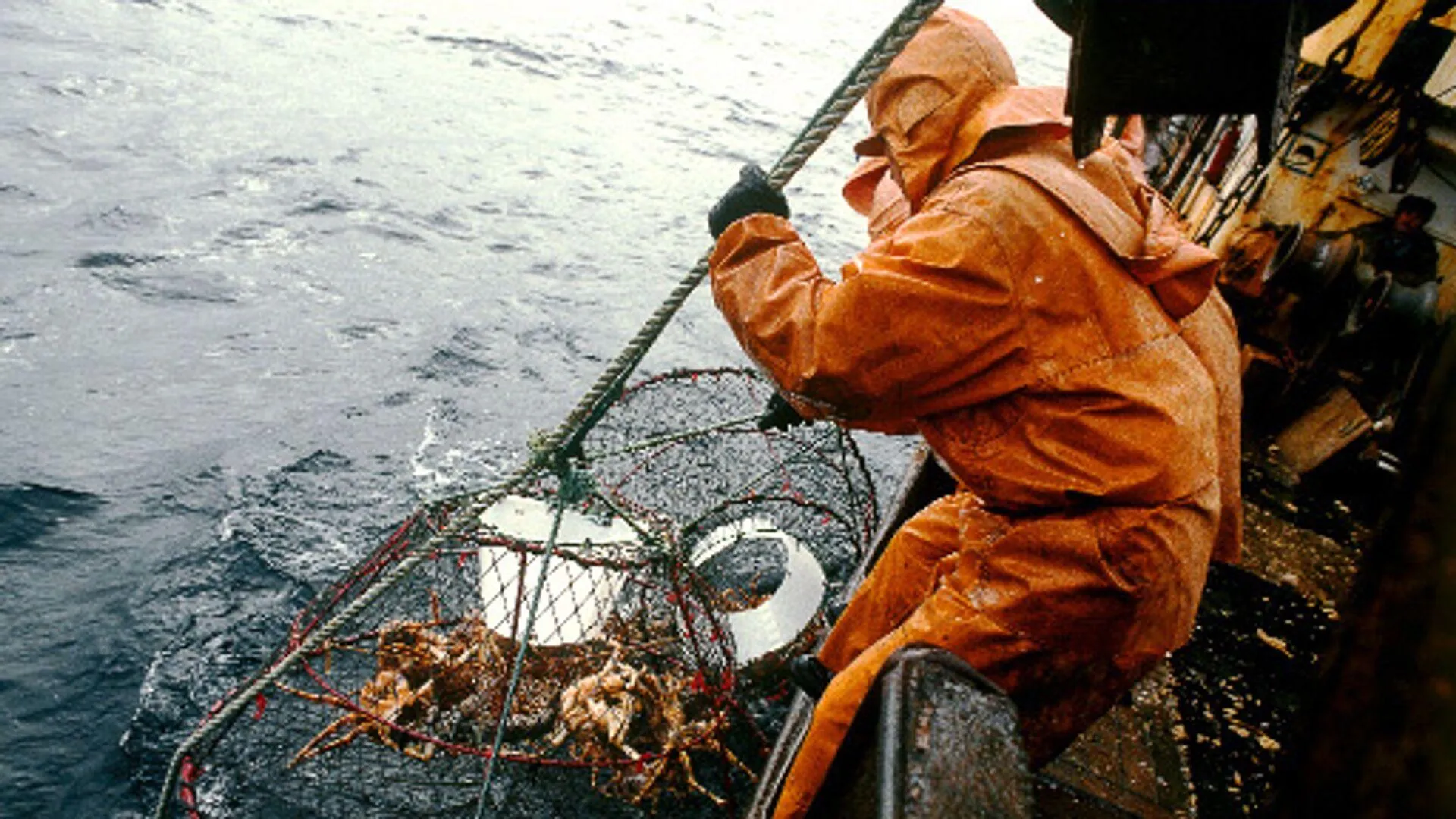 Трал с рыбой росрыболовство. Добыча судов. Добыча рыбы. Земснаряд печора балтдрага. Добыча краба на дальнем востоке.