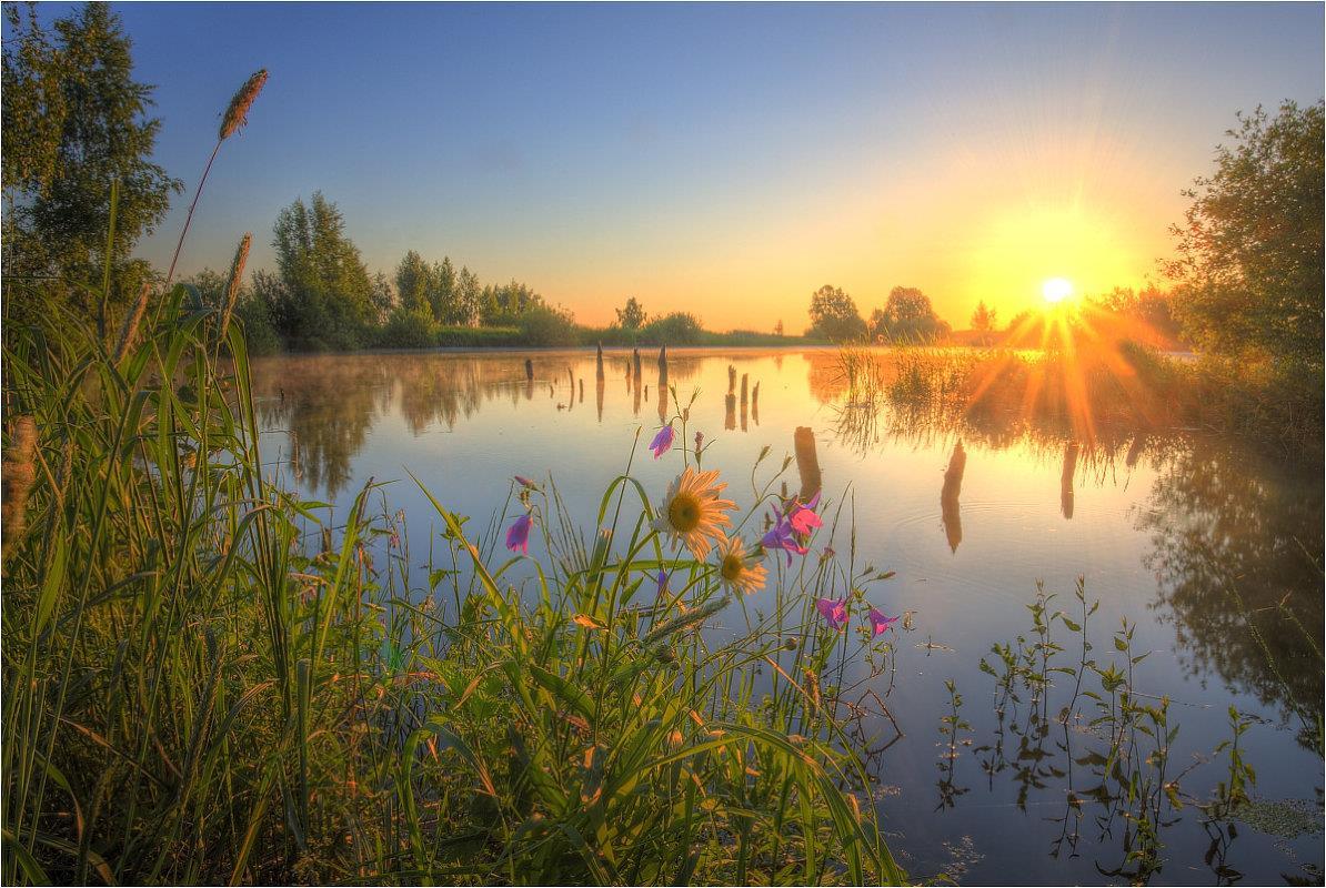 Утро природа открытка. Марий Эл рассвет. Заря Зорька Зоренька. Летнее утро на реке. Рассвет над рекой.