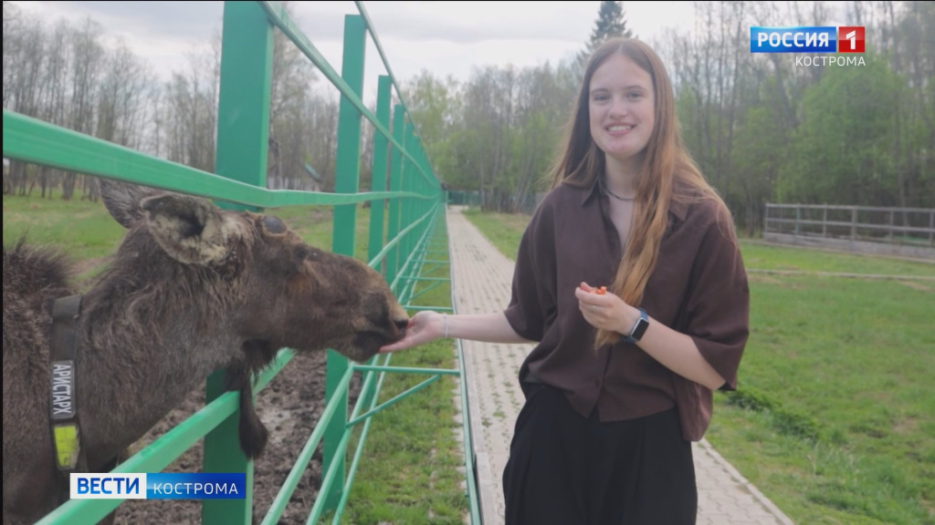 Лосята родились.mp4_snapshot_02.51.636.jpg
