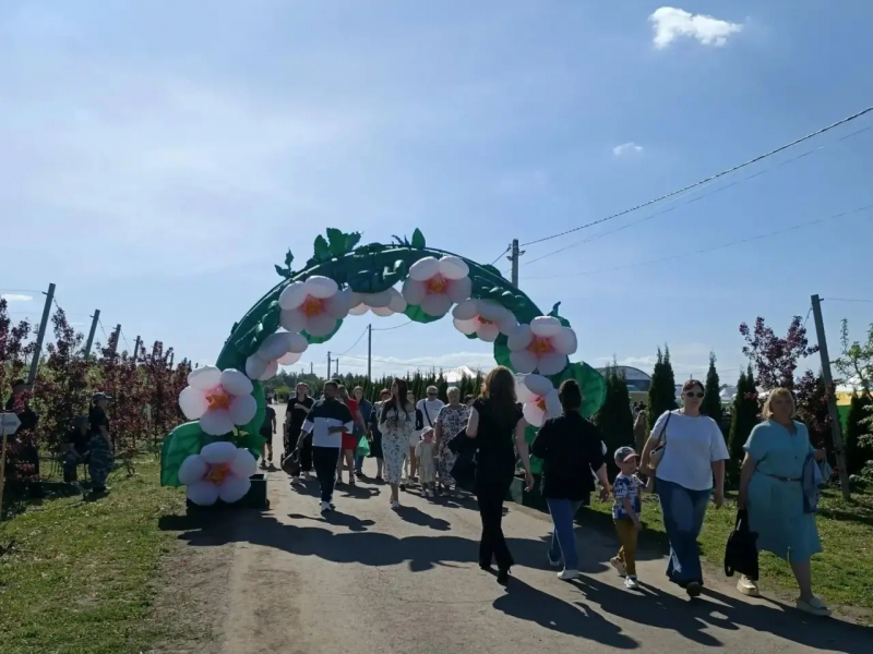 JPG Файл