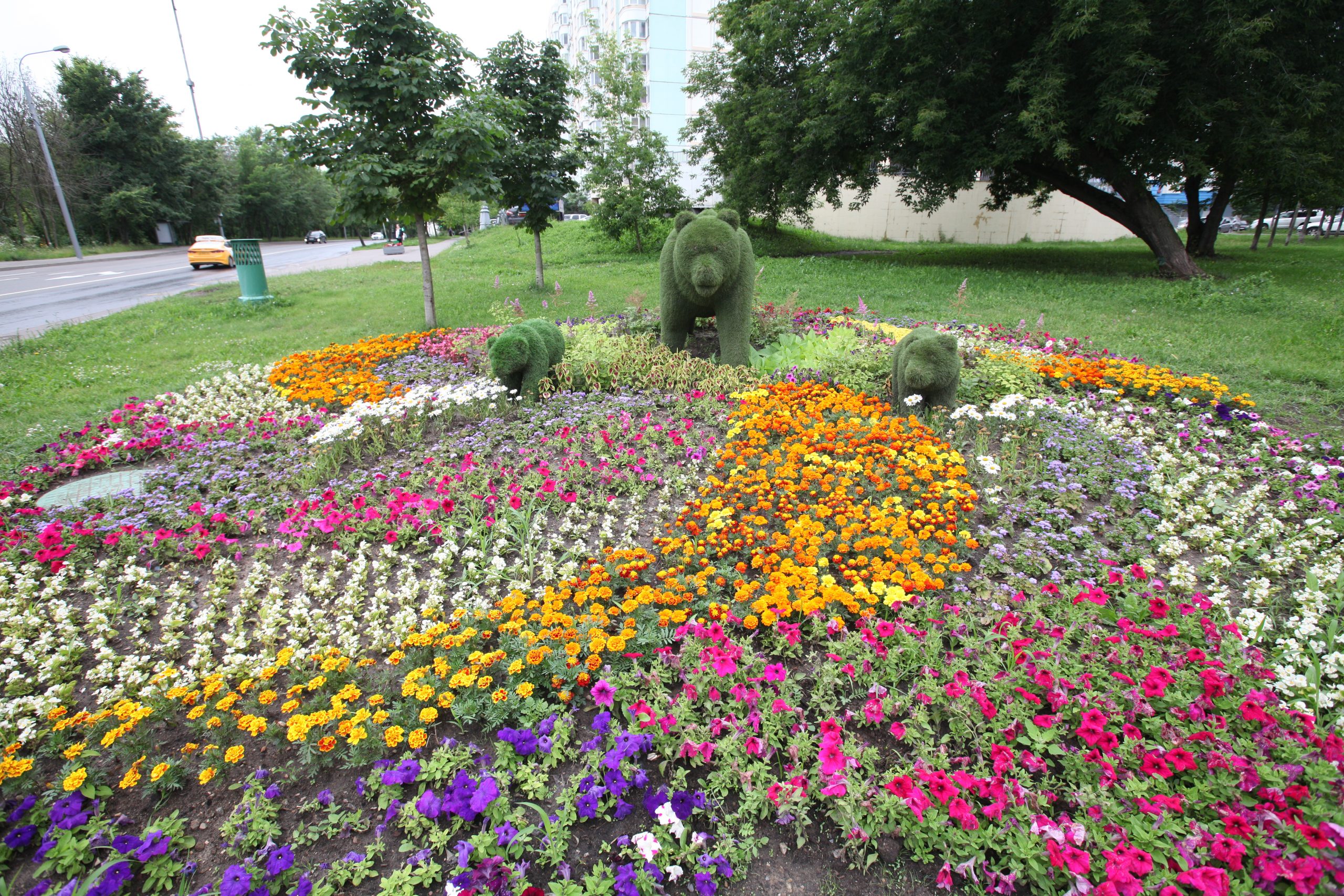 цветники в москве