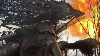 Российская армия освободила село Васюковка в ДНР