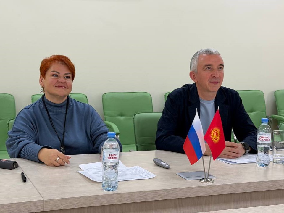 photo 5195337018886982326 y11