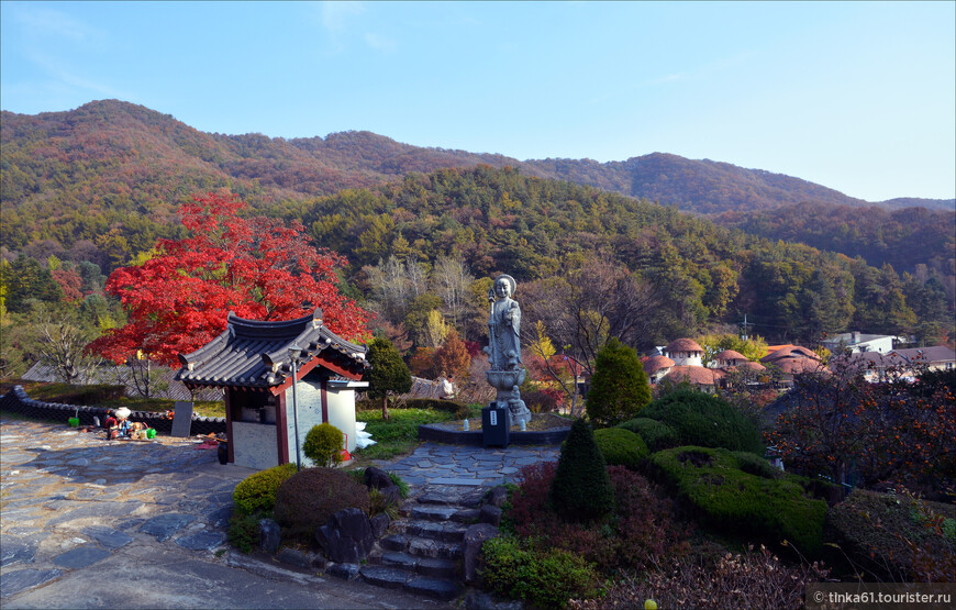 Танпхун - фольклор, этнография и лесной храм