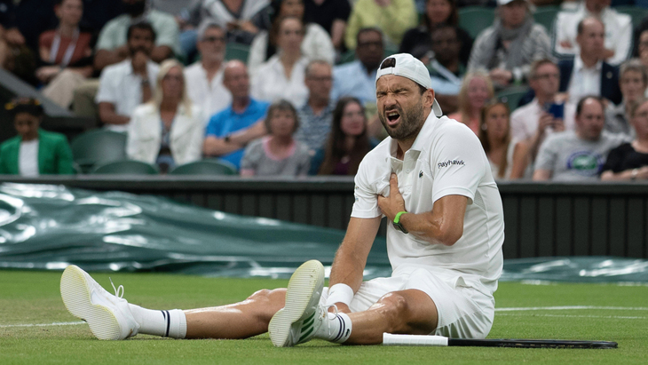 Григор Димитров (момент травмы)