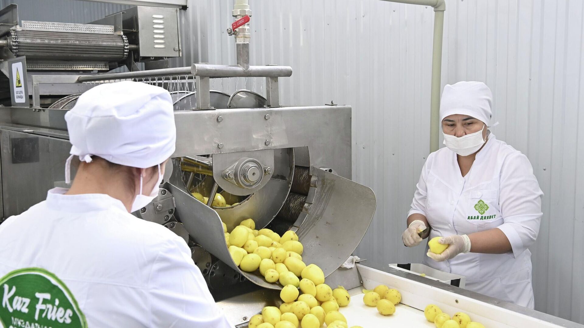 Замороженный картофель-фри начали производить в Кызылорде - Sputnik Казахстан, 1920, 02.10.2023