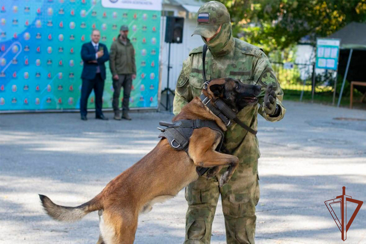 Росгвардейцы Урала провели патриотические мероприятия с подрастающим поколением