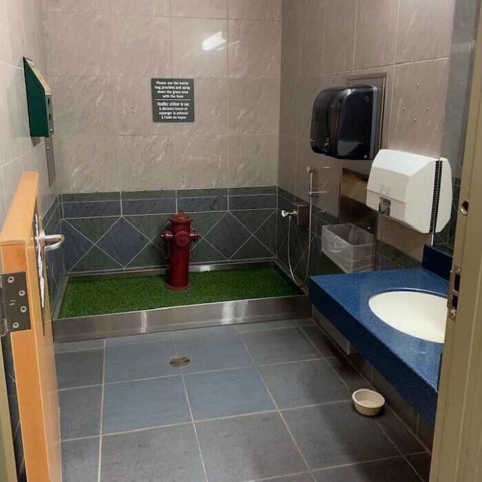 7. Туалет для служебных собак в аэропорту Келоуна, Британская Колумбия, Канада