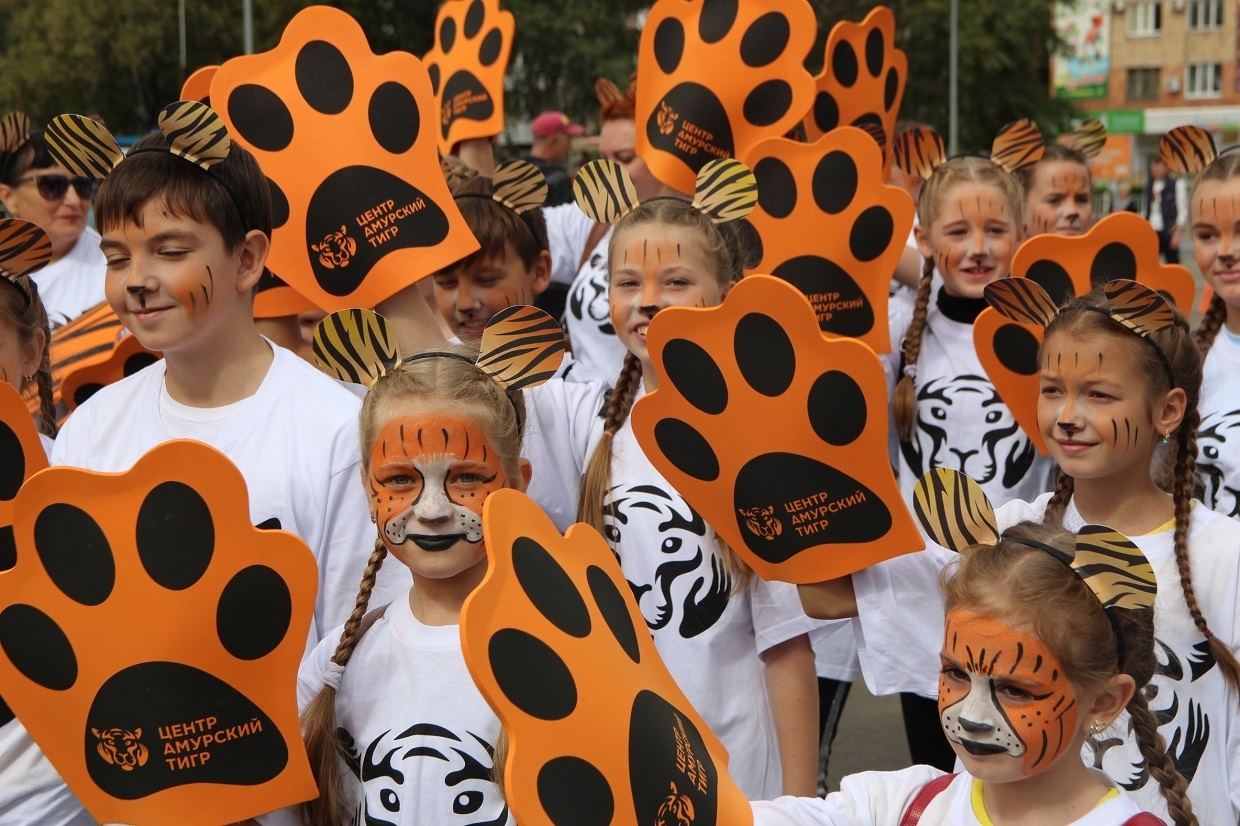 День амурского тигра на дальнем востоке. Про день тигра. День тигра владивосток 2021. Про день тигра. День тигра на дальнем востоке.