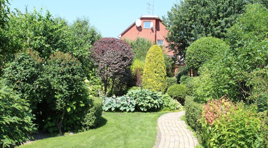 Сад екатерины локшиной ландшафтного дизайнера. Сад екатерины барсовой. Сад екатерины локшиной ландшафтного дизайнера. Сад екатерины локшиной ландшафтного дизайнера. Сад ландшафтного дизайнера екатерины локшиной.