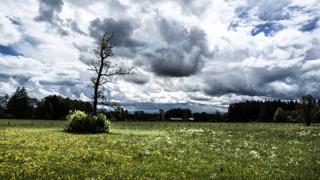 Фото: Freepik