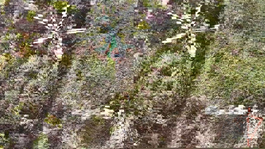 Директор Росгвардии Герой России генерал армии Виктор Золотов дал старт межведомственному командно-штабному учению