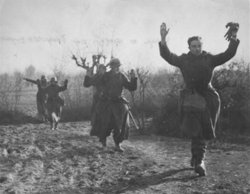 На фото немецкие солдаты сдаются в плен бойцам Югославской армии в районе села Босут в Среме. Подобные случаи фиксировались и на улицах Берлина