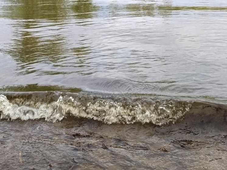 В Омской области прекратили работу две паромные переправы