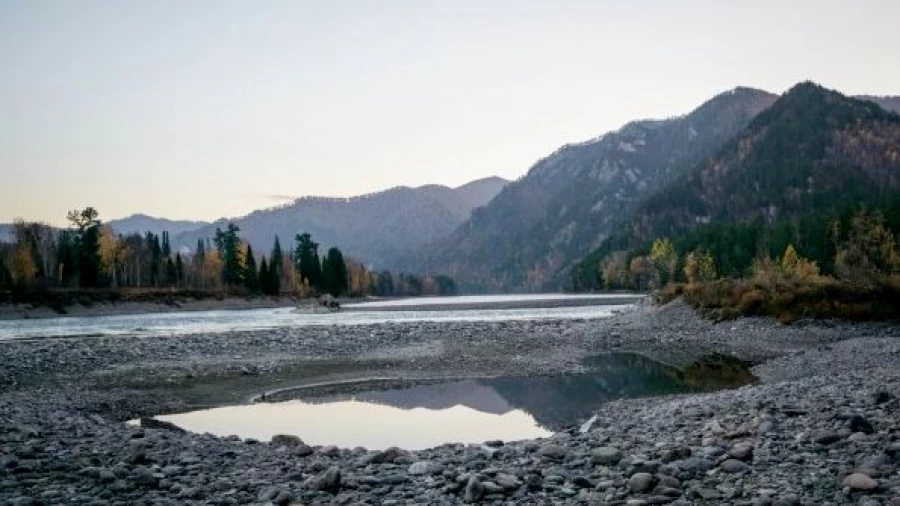 «Бирюзовая Катунь».