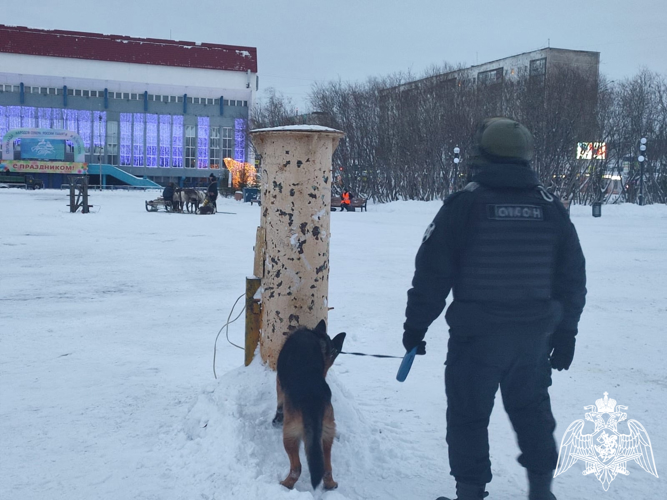 В Воркуте сотрудники ОМОН «Арктика» обеспечивают безопасность Праздника Севера