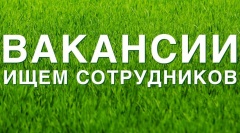 Вакансии!