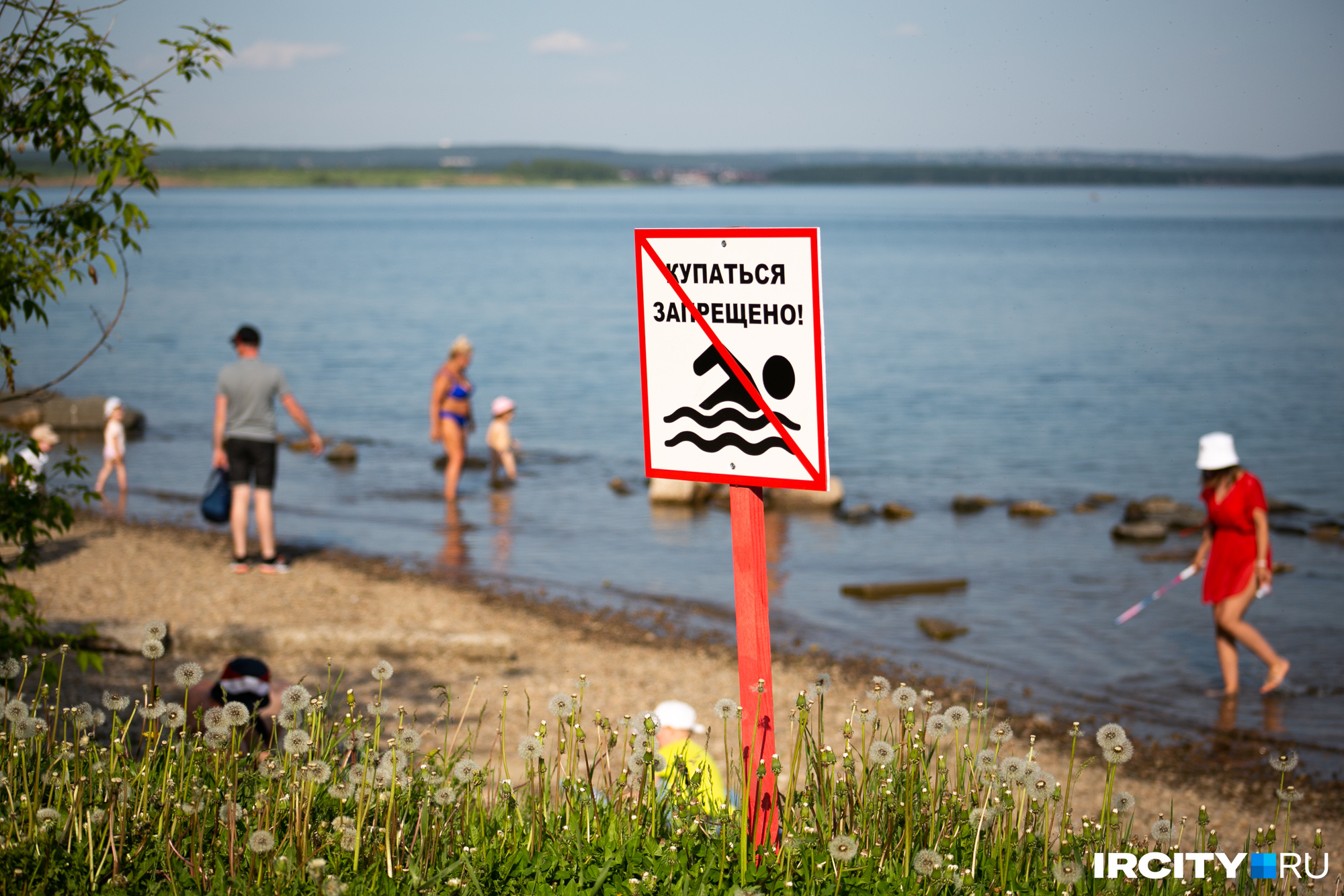 Запрет плавать на лодке. Купаться запрещено. Купаться запрещено плакат. Купание запрещено табличка. Пляжи Подмосковья.