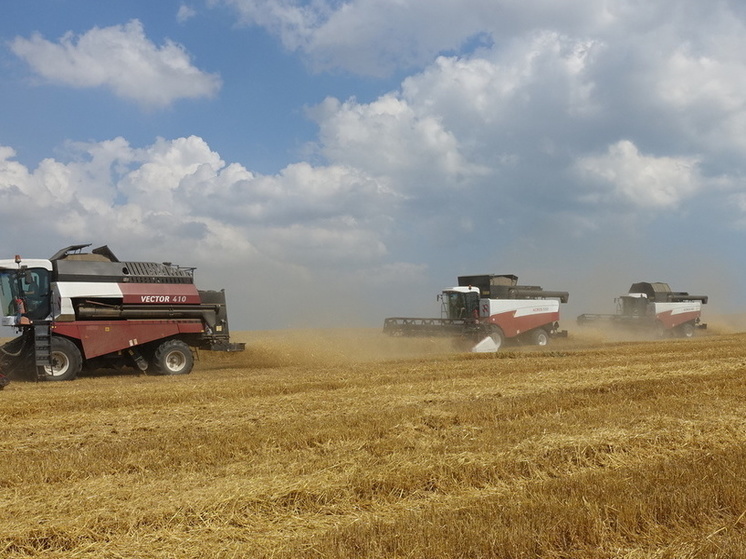 Красногвардейский район является лидером по уборке зерновых в текущем году