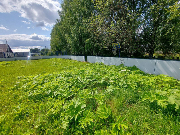 Прокуратура заставила отремонтировать спортплощадку в Верхошижемском районе