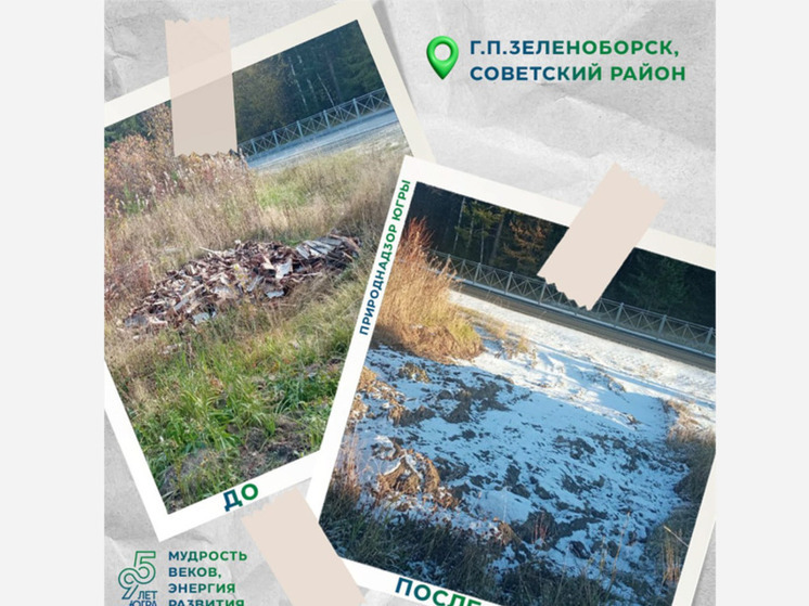 В Югре ликвидированы две несанкционированные свалки