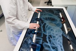 В лабораториях Физтех-лицея имени Капицы дети могут попробовать себя в роли ученых