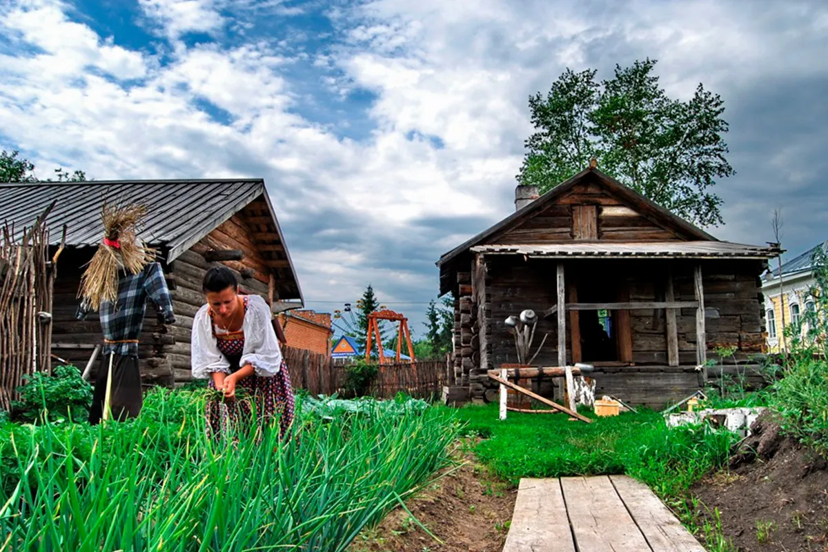 Деревенские участки в деревне фото Federal State Statistics Service reported that 16% of house farms in the country