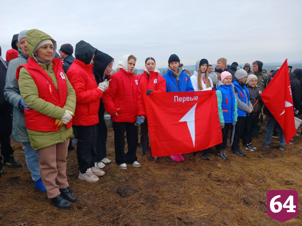 Осенью в Саратовской области высадят 3 миллиона сеянцев 