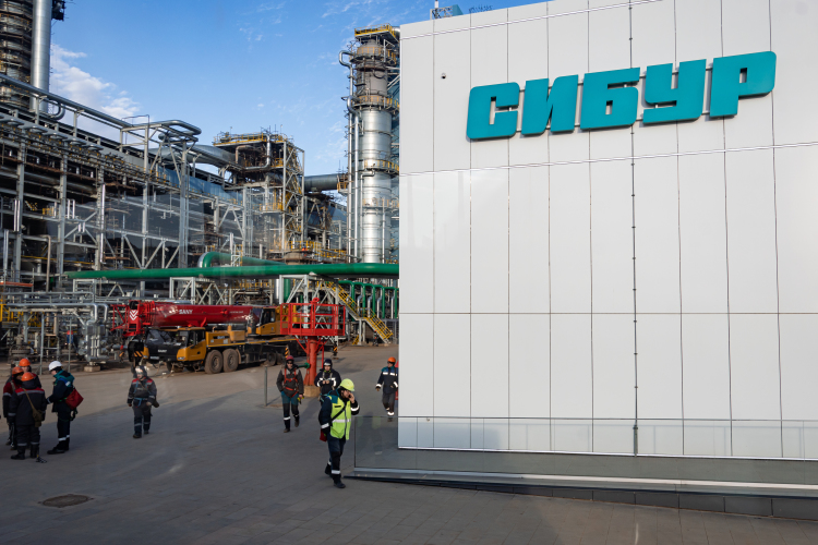 По итогам 2024-го суммарная выручка увеличилась на 37 млрд до 393 млрд рублей, при этом доля в общем обороте 300 компаний снизилась до 5,2%