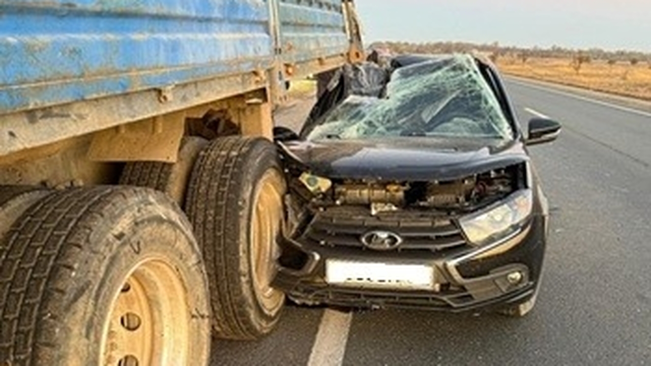 Зафиксировано 470 нарушений ПДД