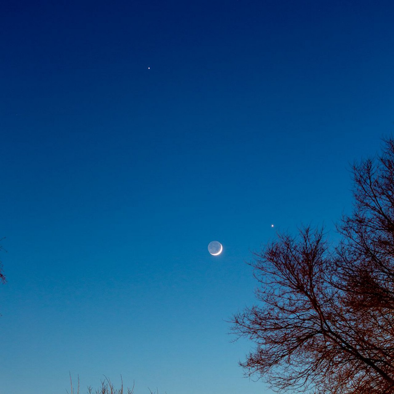 фото венеры и луны