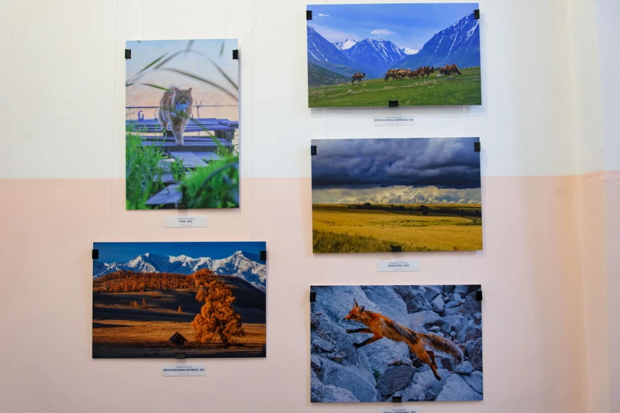 Выставка художественной фотографии «Глубина кадра».