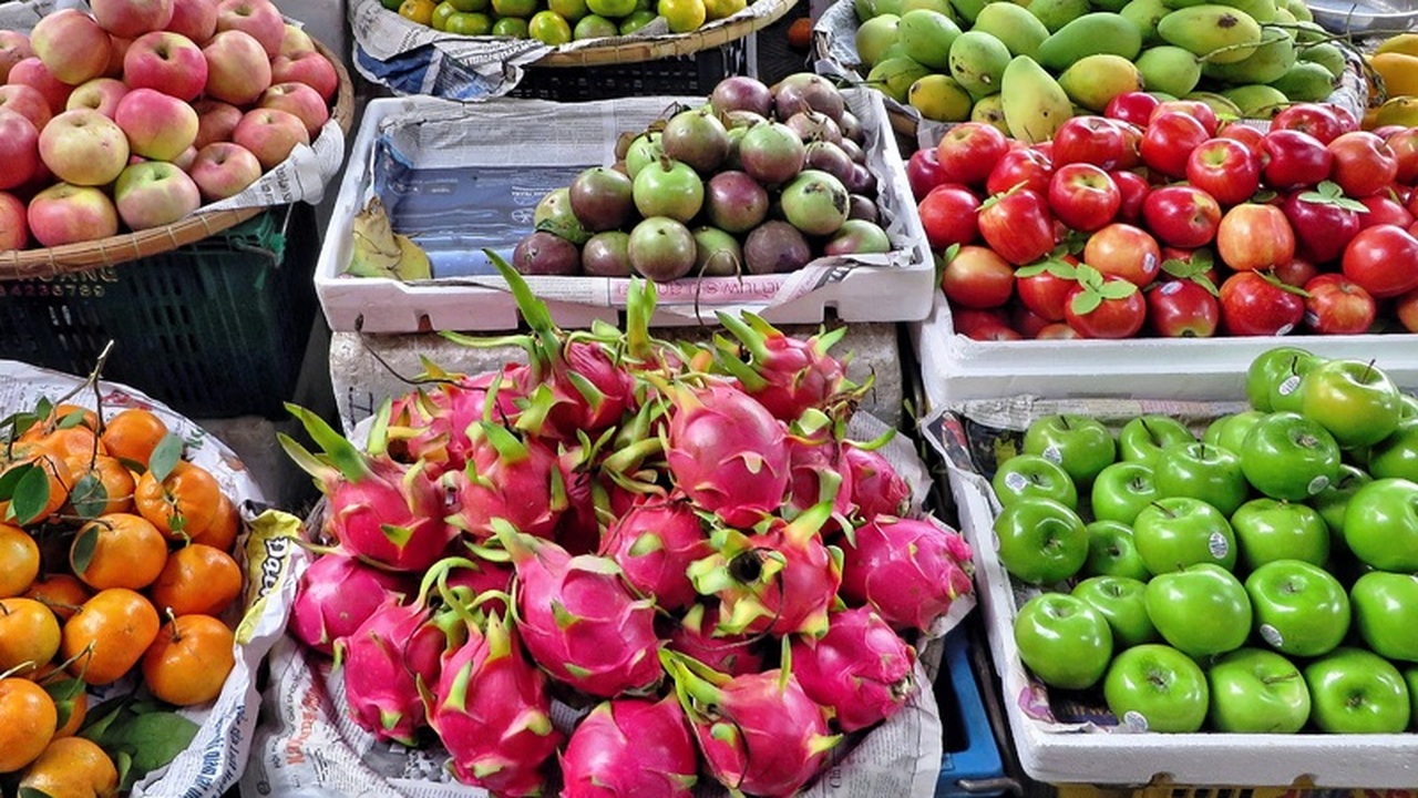 Никитский ботанический сад превратился в настоя...