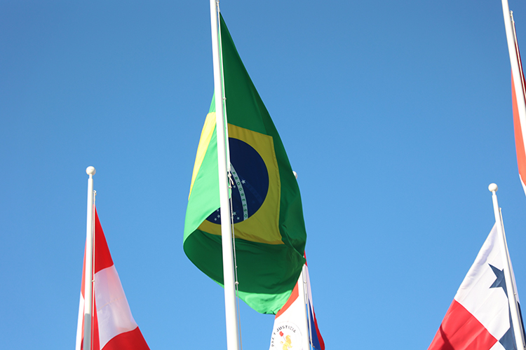 «Почему в Бразилии недостаток политической воли? Потому что во всех наших странах, даже в России и Китае, есть так называемая пятая колонна, которая работает в интересах Запада. Они глубоко сидят и в бизнесе, и в правительстве, и в масс-медиа. В Бразилии она очень ярко выражена»