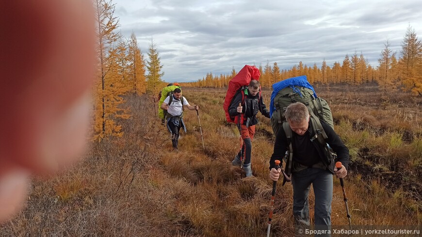 Чарские пески — самая северная пустыня