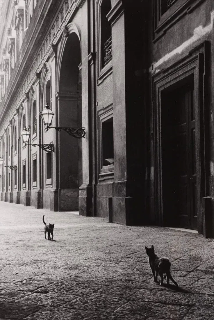 Встреча на улице. Неаполь, 1958 г. Фотограф Леонард Фрид.