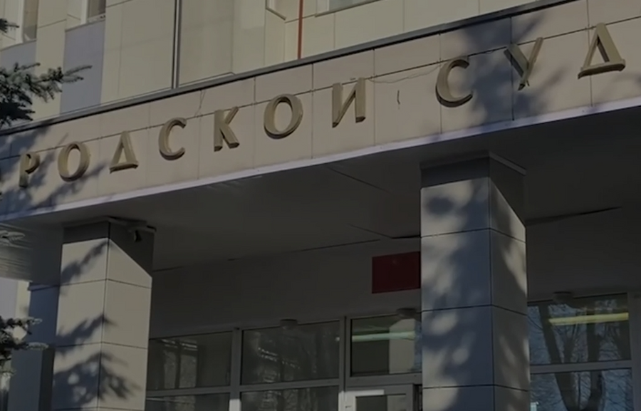 Гатчинский суд наказал карманника